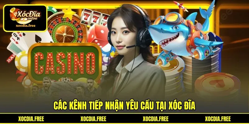 Các kênh tiếp nhận yêu cầu tại Xóc đĩa