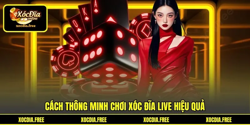 Cách thông minh chơi xóc đĩa live hiệu quả