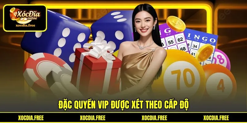 Đặc quyền VIP được xét theo cấp độ Đặc quyền VIP được xét theo cấp độ