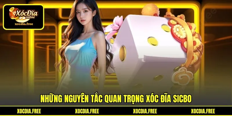 Những nguyên tắc quan trọng xóc đĩa Sicbo