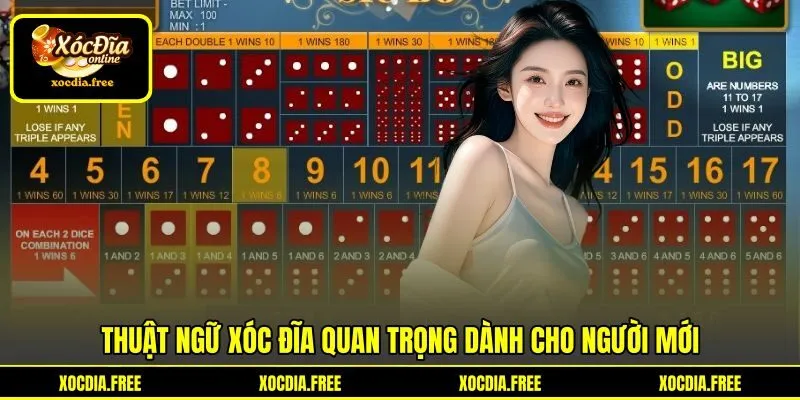 Thuật ngữ xóc đĩa quan trọng dành cho người mới