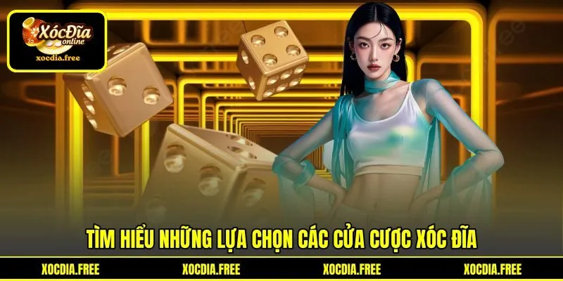 Tìm hiểu những lựa chọn các cửa cược xóc đĩa Tìm hiểu những lựa chọn các cửa cược xóc đĩa